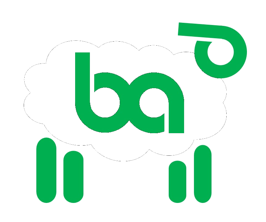 Betwork